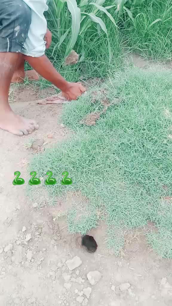 @ohi_sonu1322