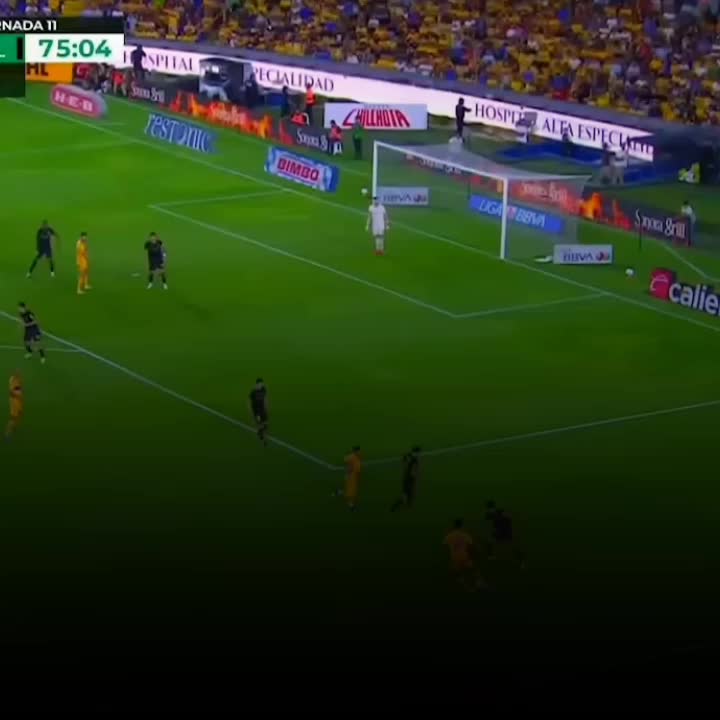 @𝗧𝗜𝗚𝗥𝗘.𝗠𝗧𝗭