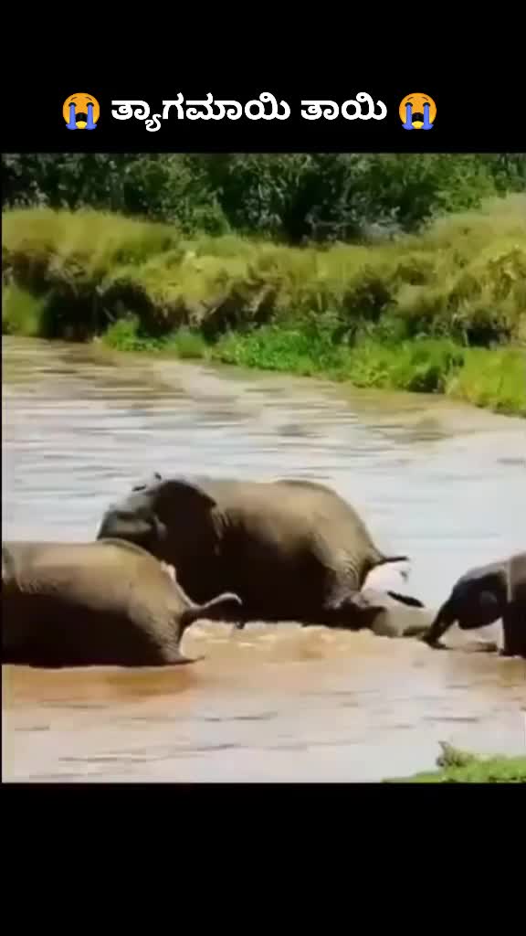 @Sivaji Rao Naveen