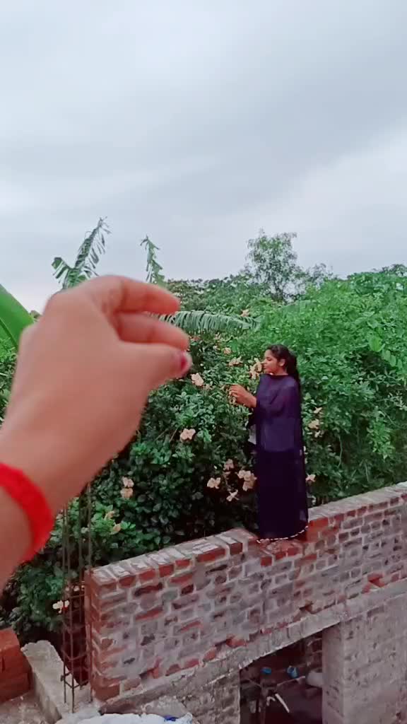 @Tik Toker