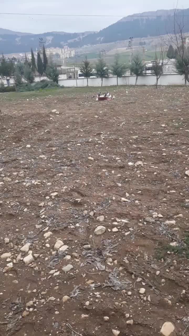 @Kadir.yazan