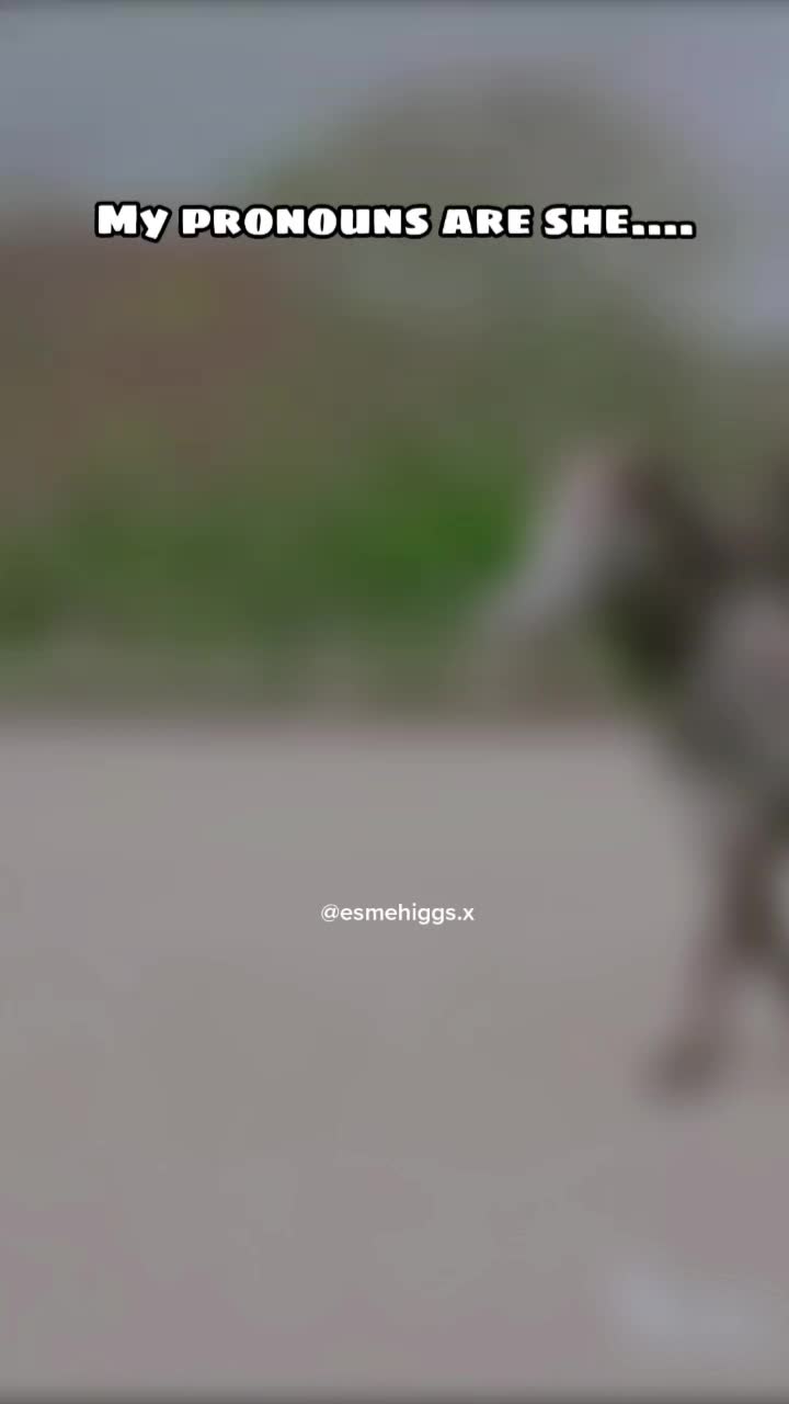 @Esme Higgs fp โค โ1.2k