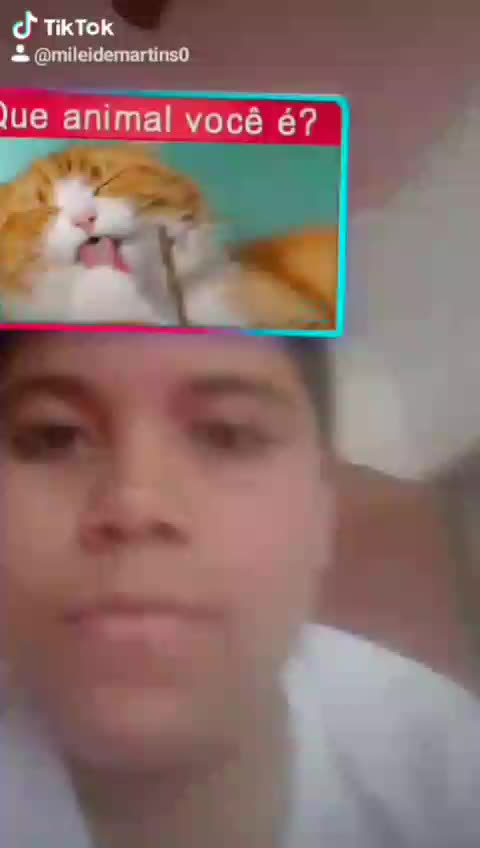@Mileide Martins