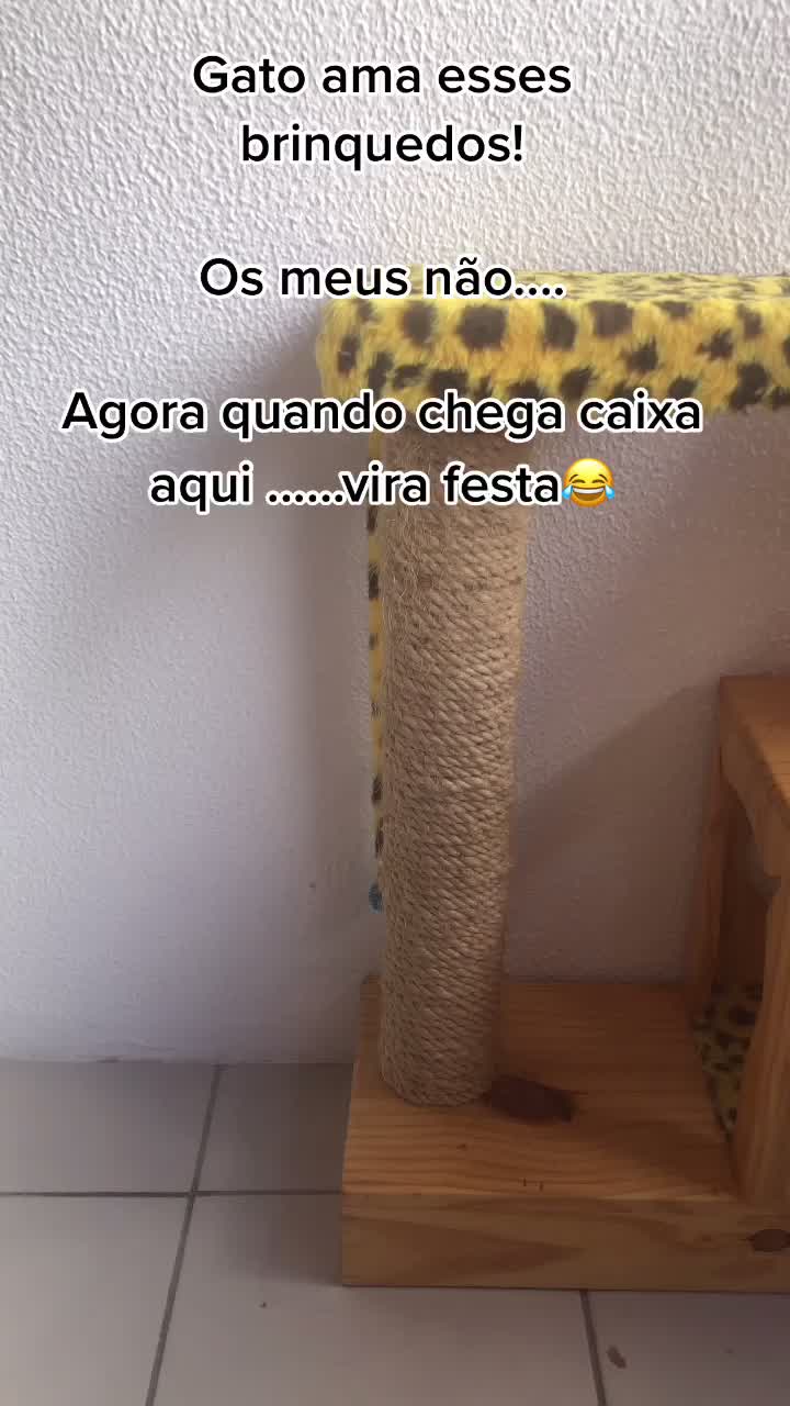 @🐱Cats🐱