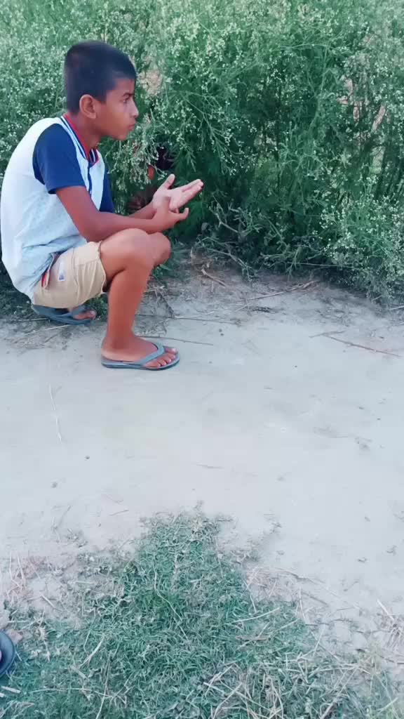 @Saif Ali