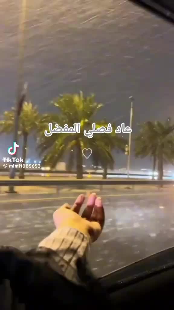 @Jamila Ben hamadi