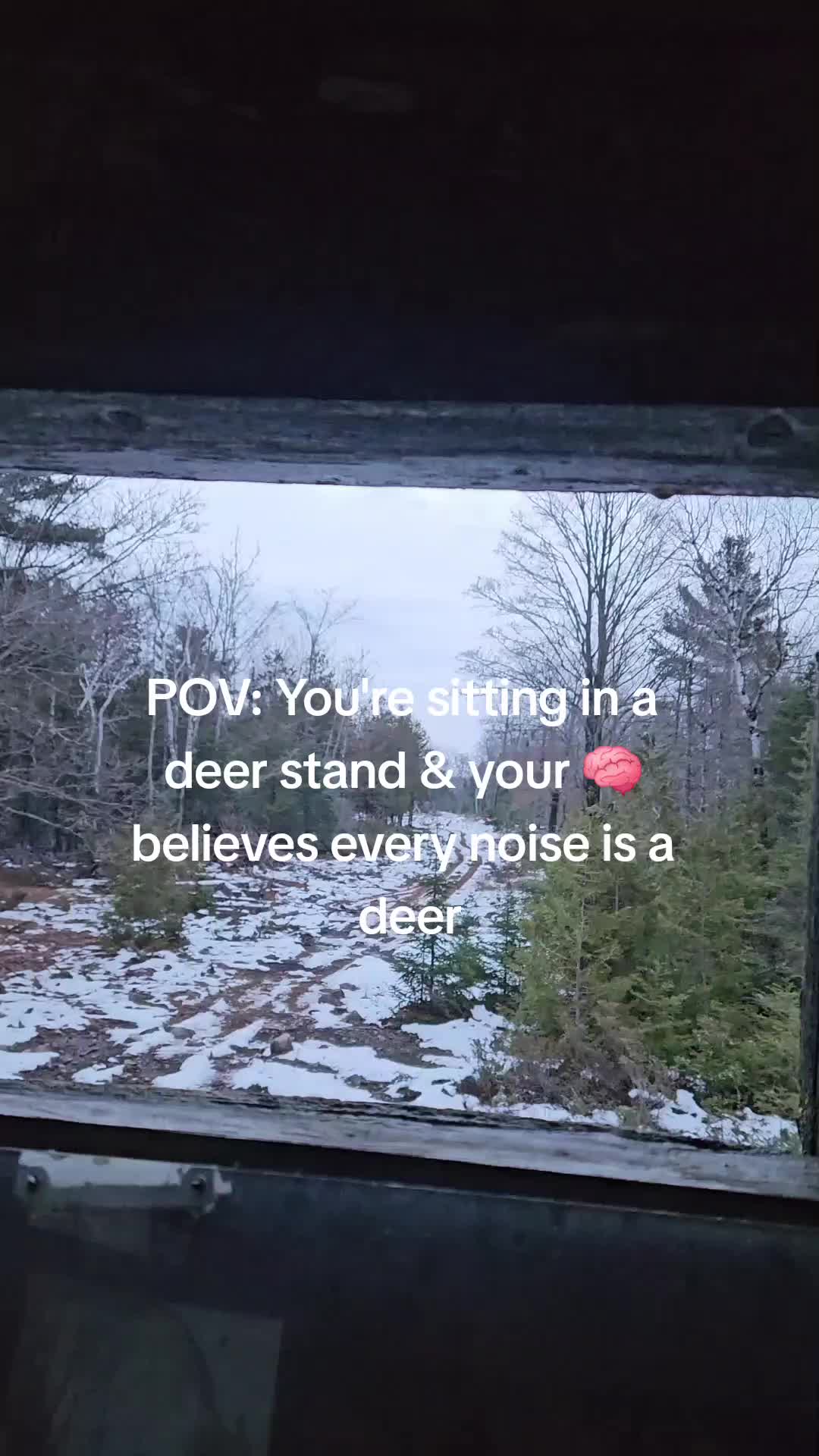 @Brie Gauvreau