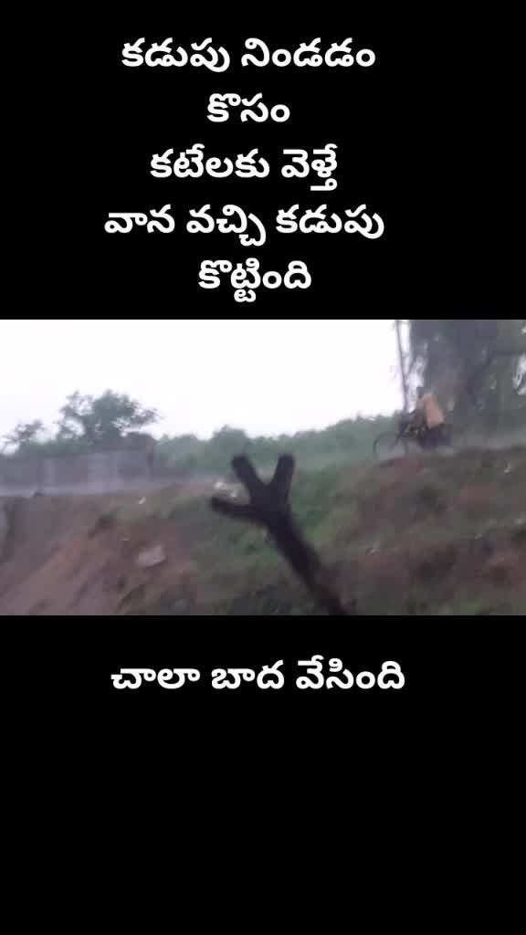 @pavan kalyan fan