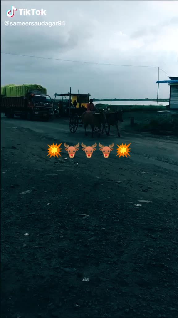 @Mari #Bhai