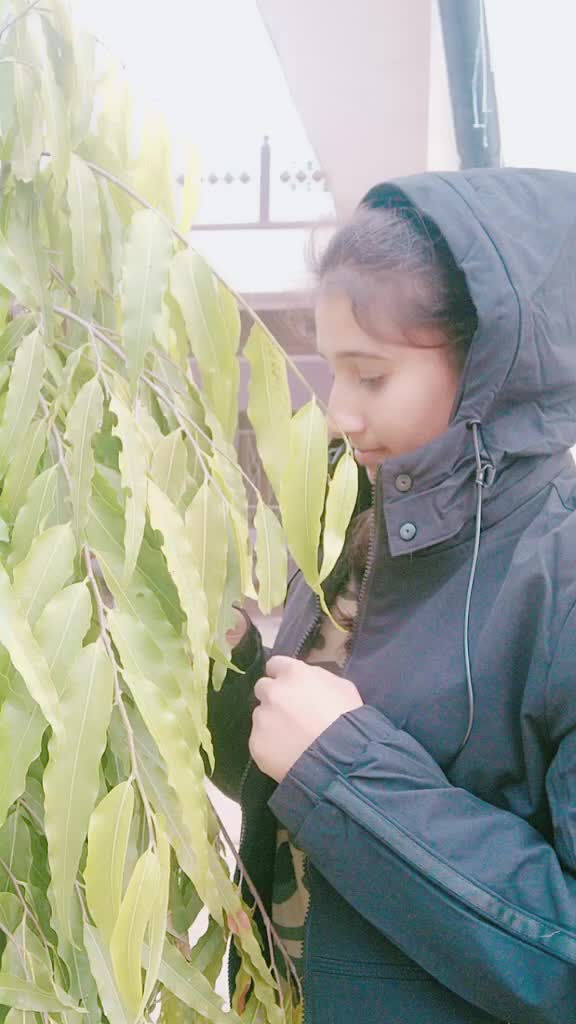 @SinghSahbTanwar