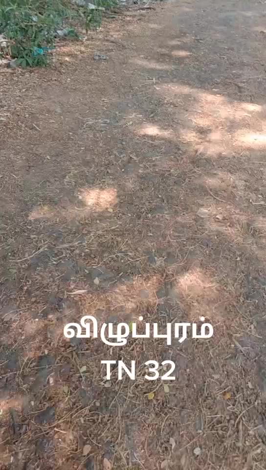 @Sakthi TN31