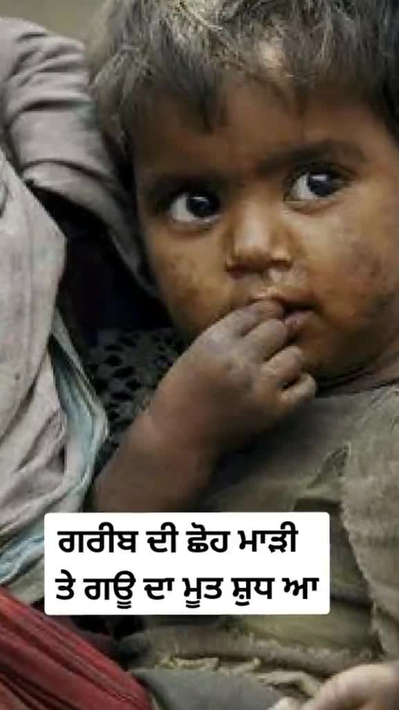 @Boxer Anil Khicher