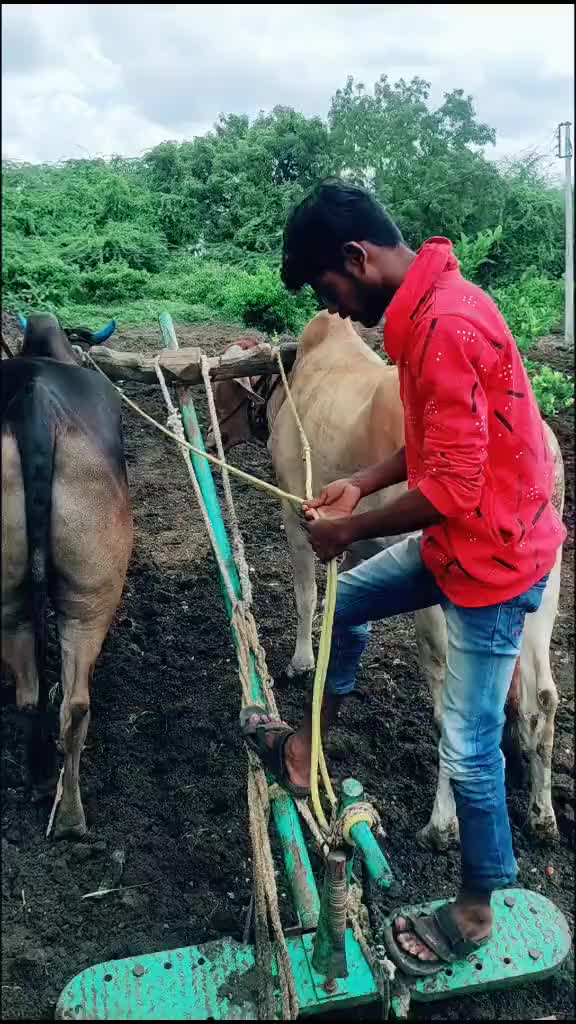 @mohsinkhan1423