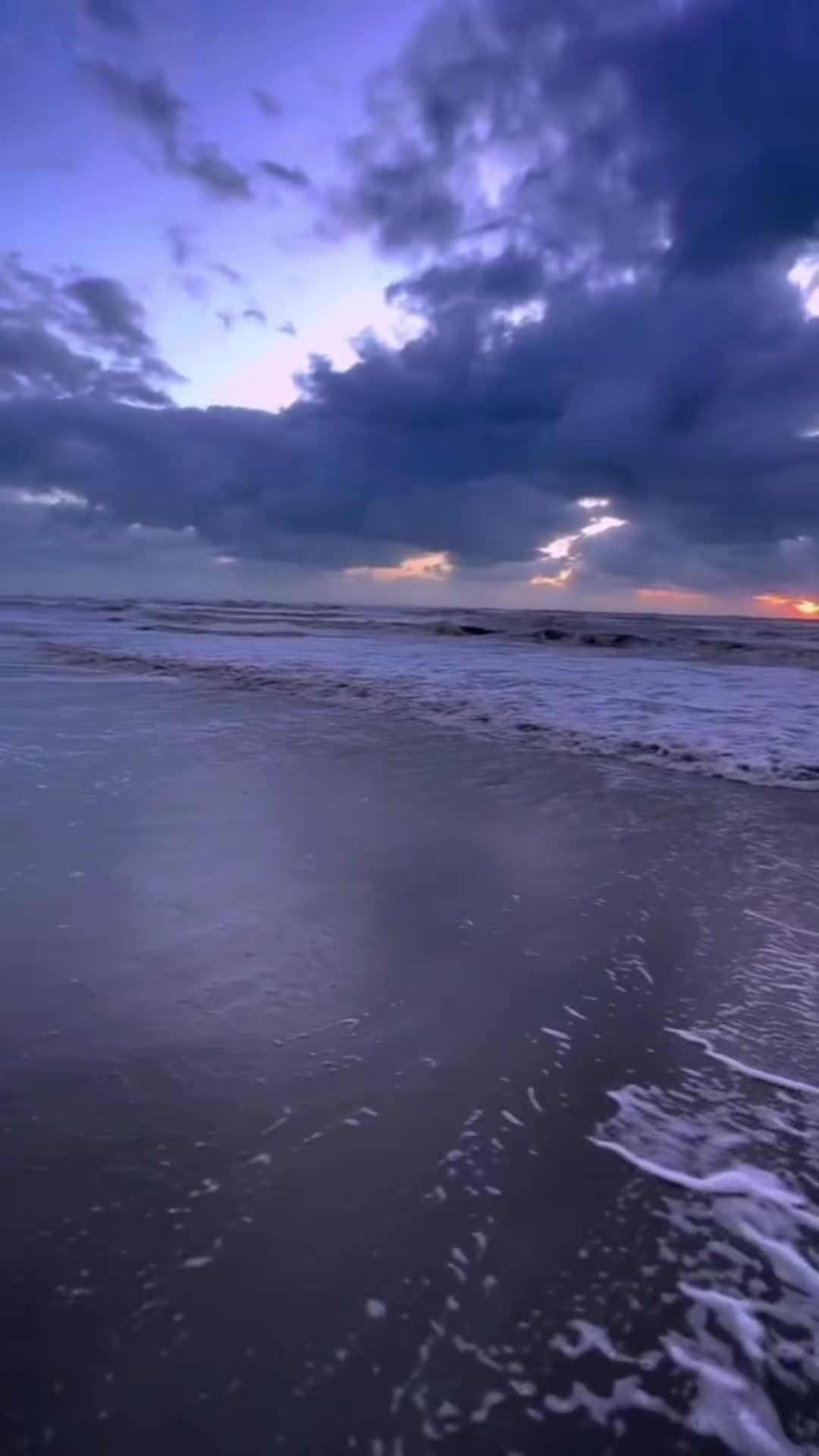@4BDV 🫆