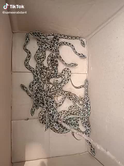 @user3172024247331