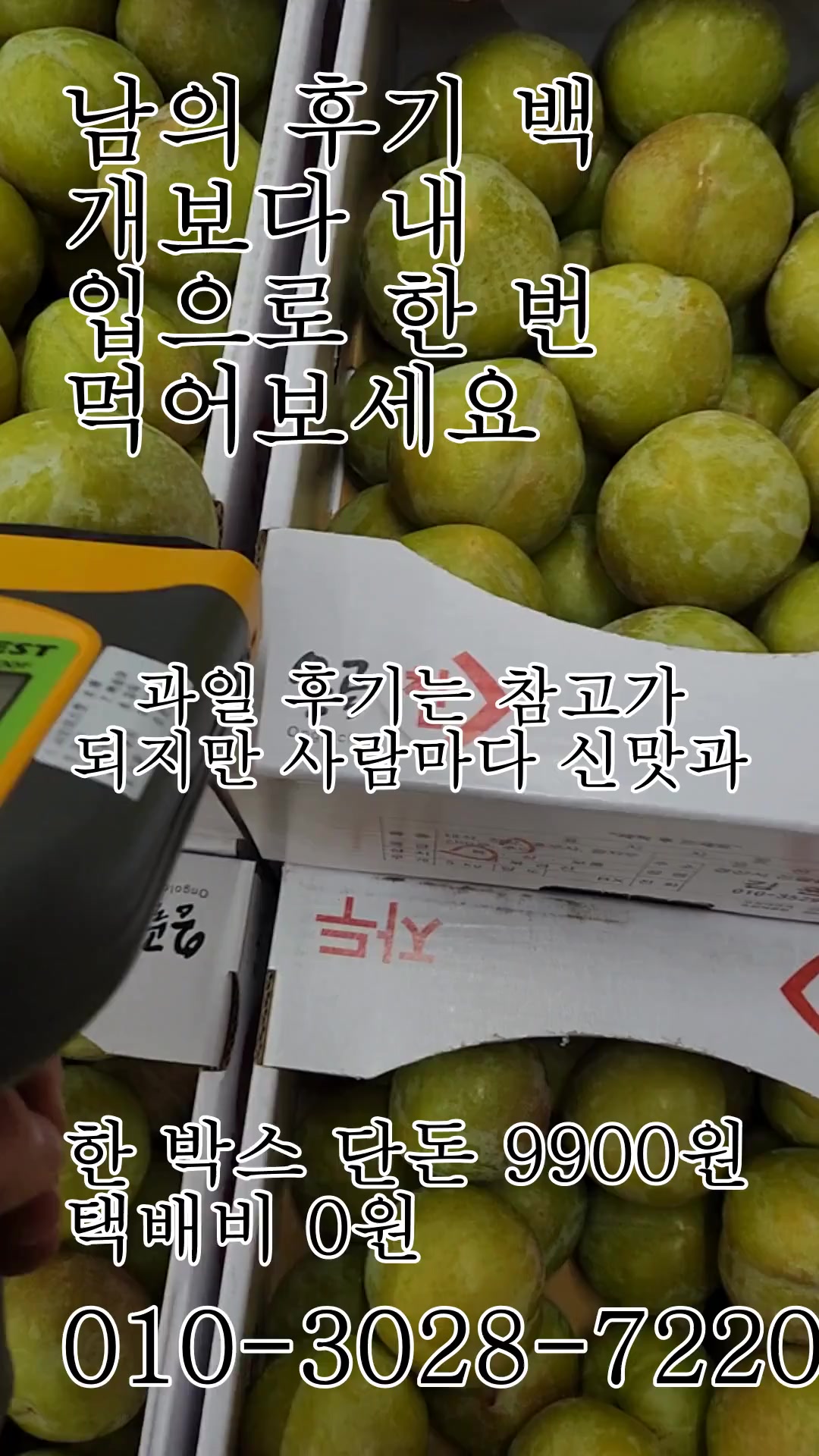 @새콤과일장터