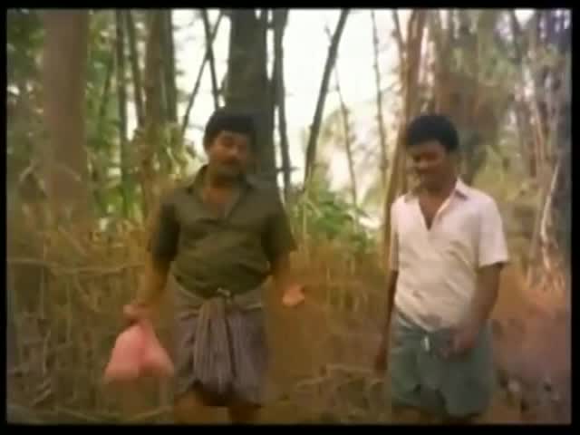 @ani