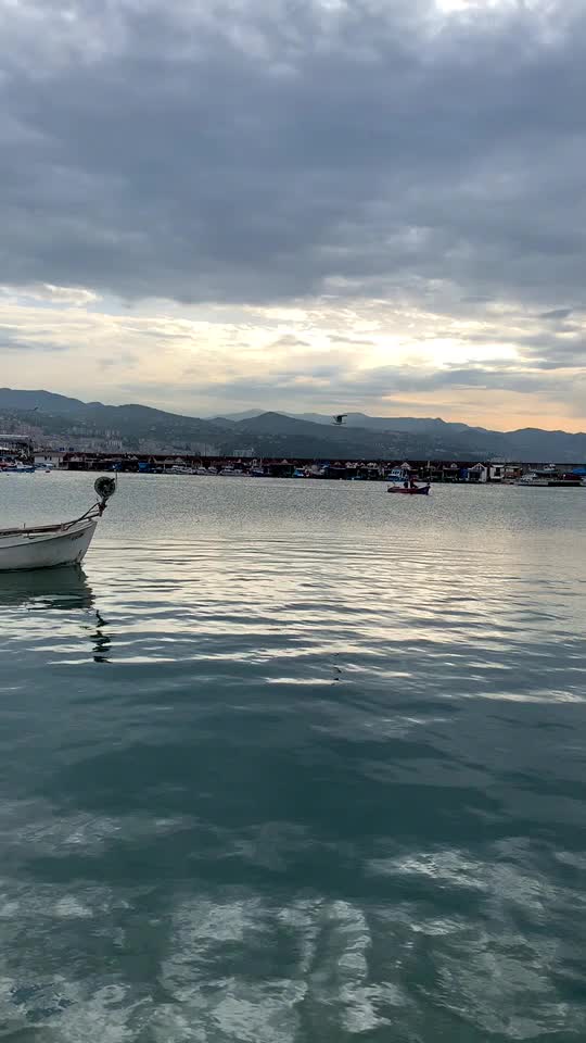 @Ömürhanhacısalihoglu