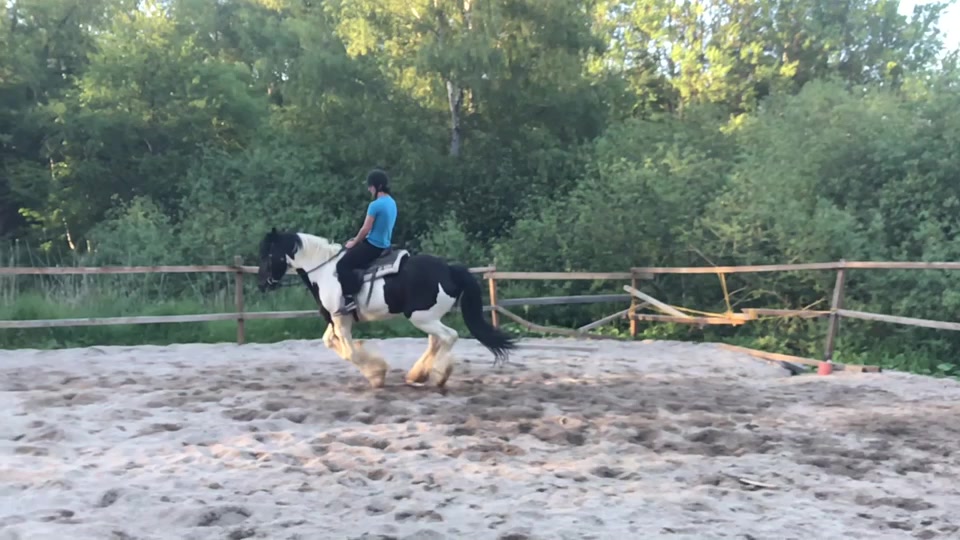 @Scwarzjo