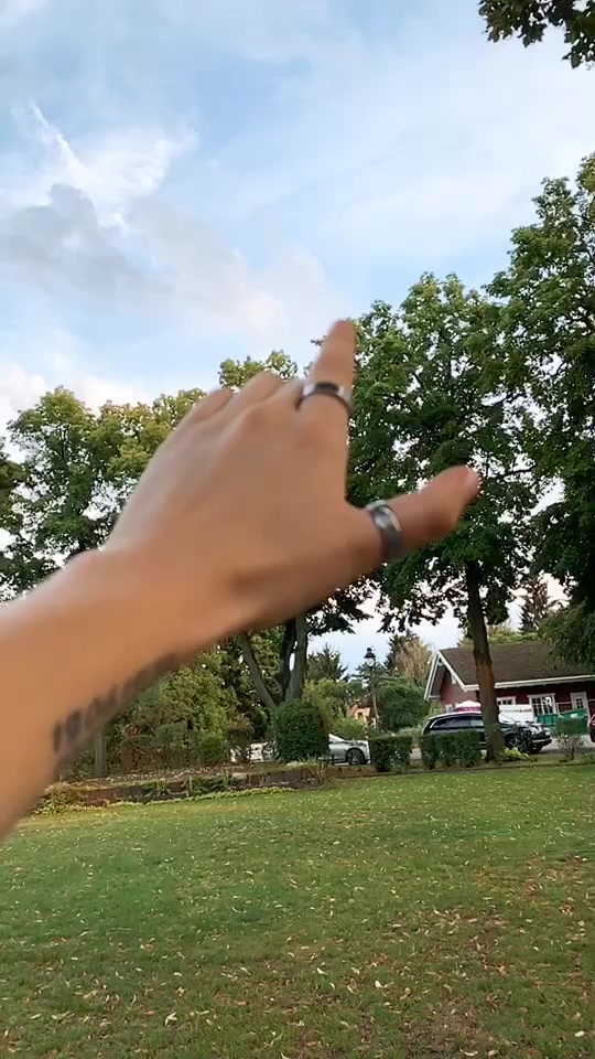 @Dennis Noèl 🕊❤️