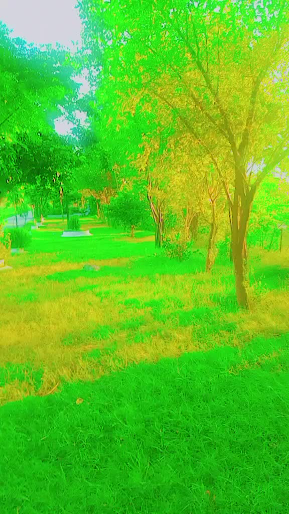 @BJ PATAN Bajuar 🦜🦜🦜🦜🦜💔