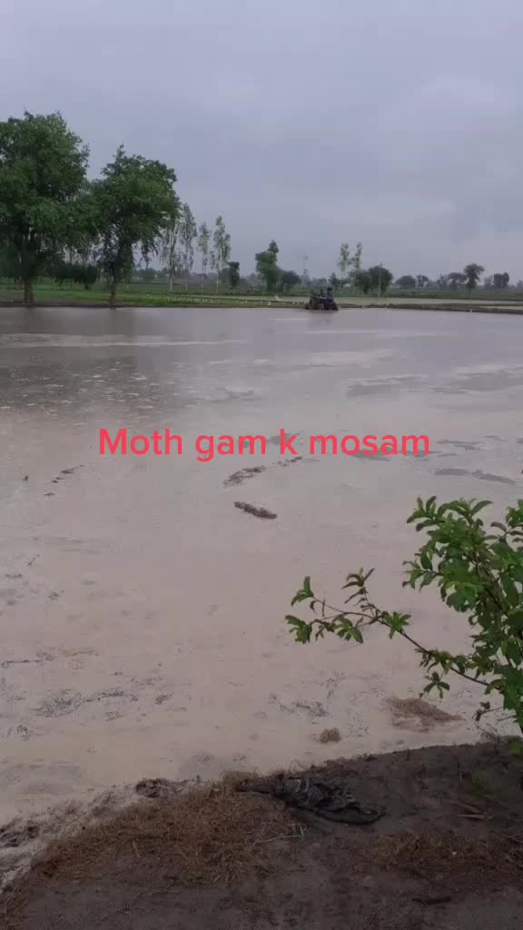 @Pardeep Duhan
