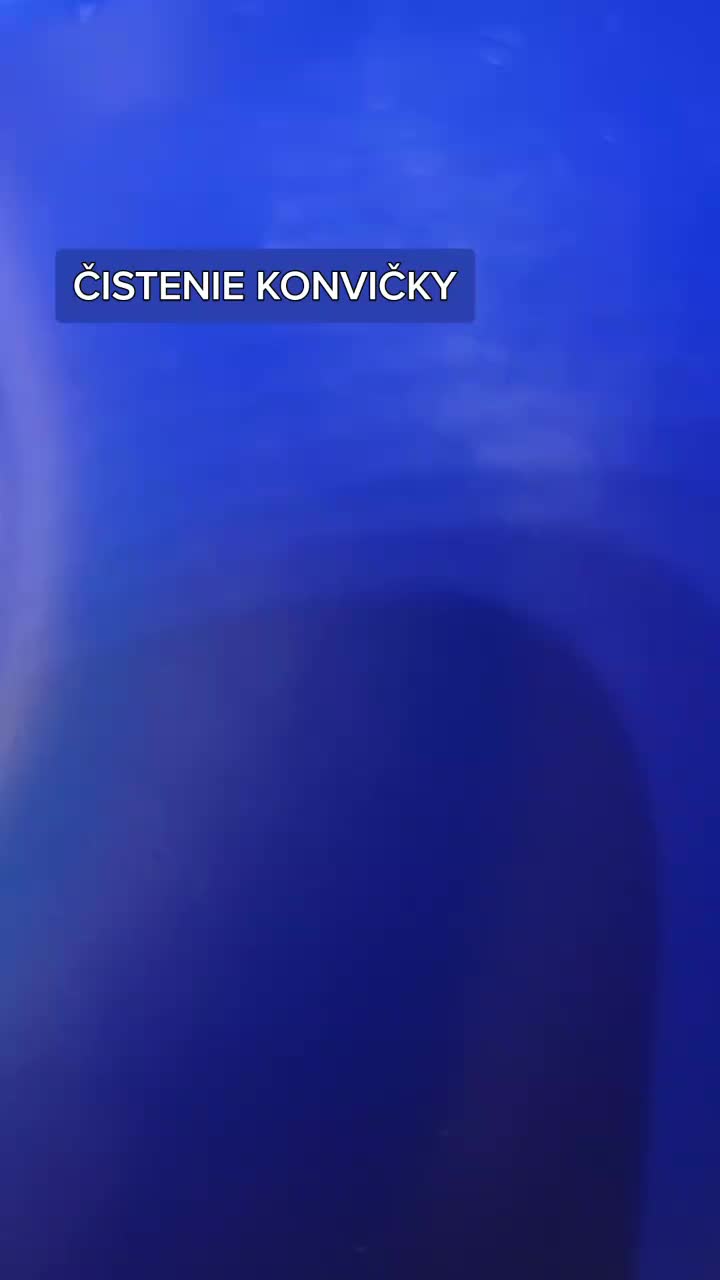 @katka_reptova