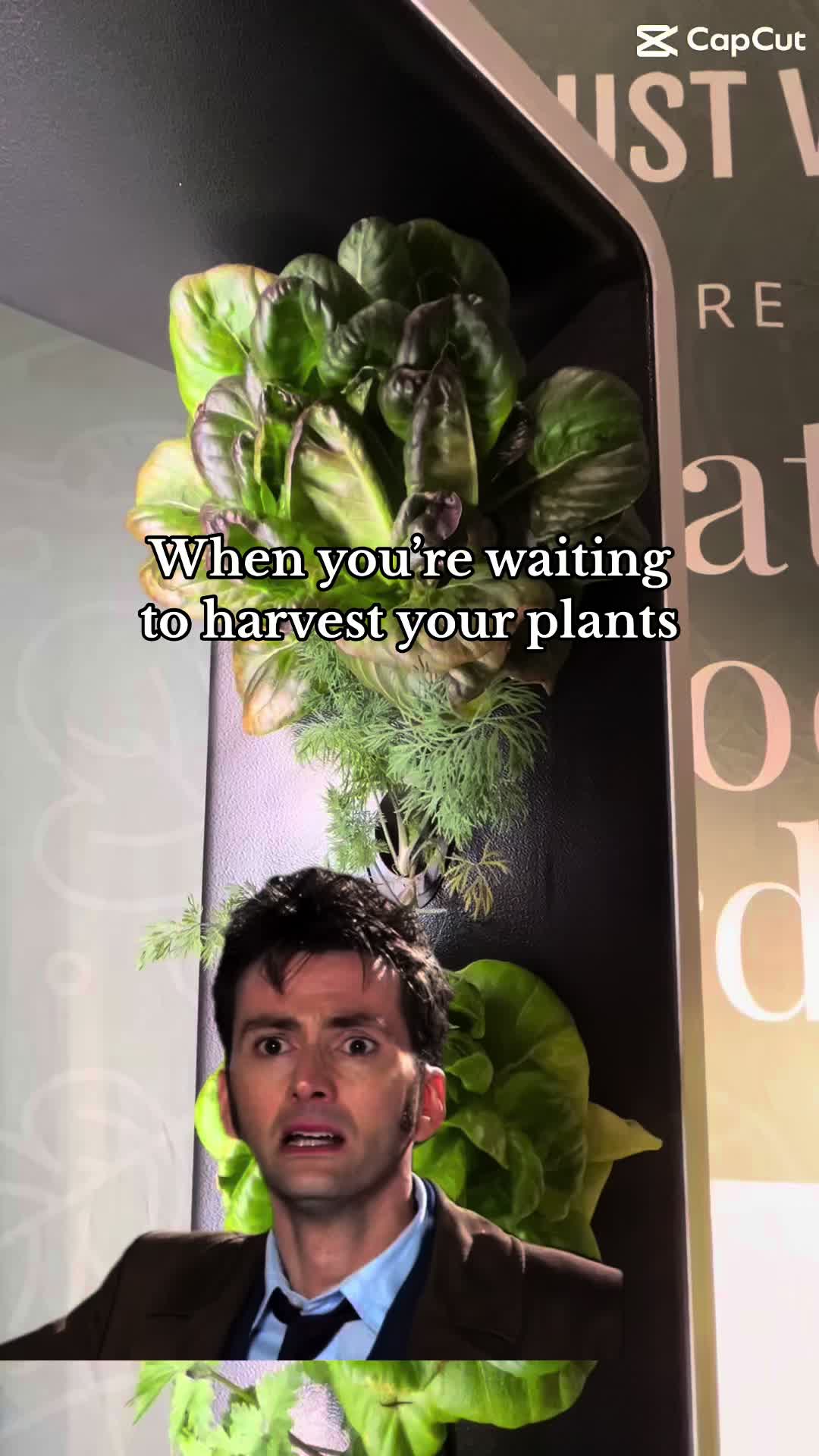 @Just Vertical