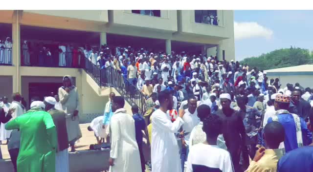 @Abdifatah Haji