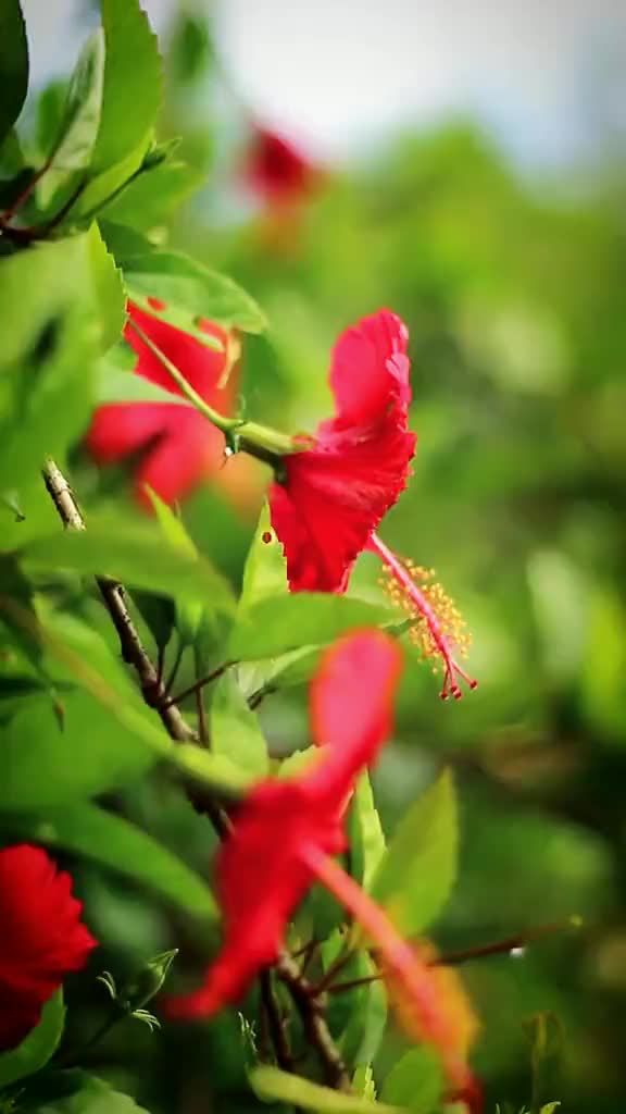 @பூமிராஜா