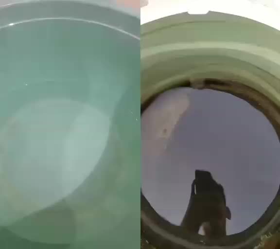 @danush