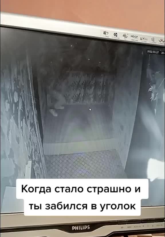 @КВЕСТЫ В МИНСКЕ