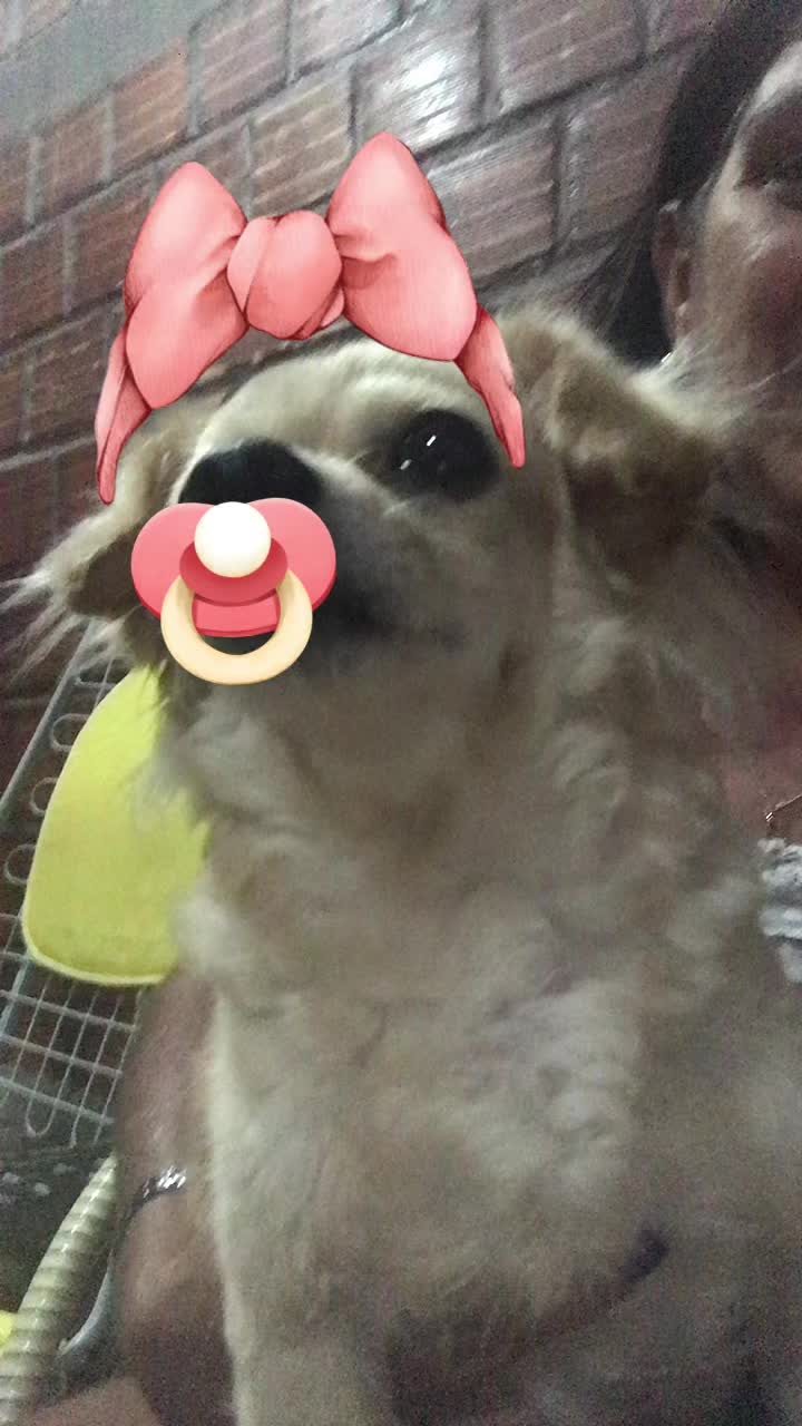 @Elenilde Ramos