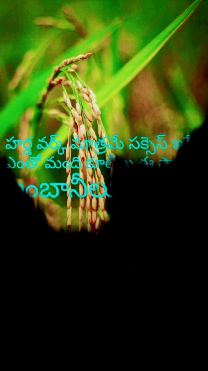@Srikanth V