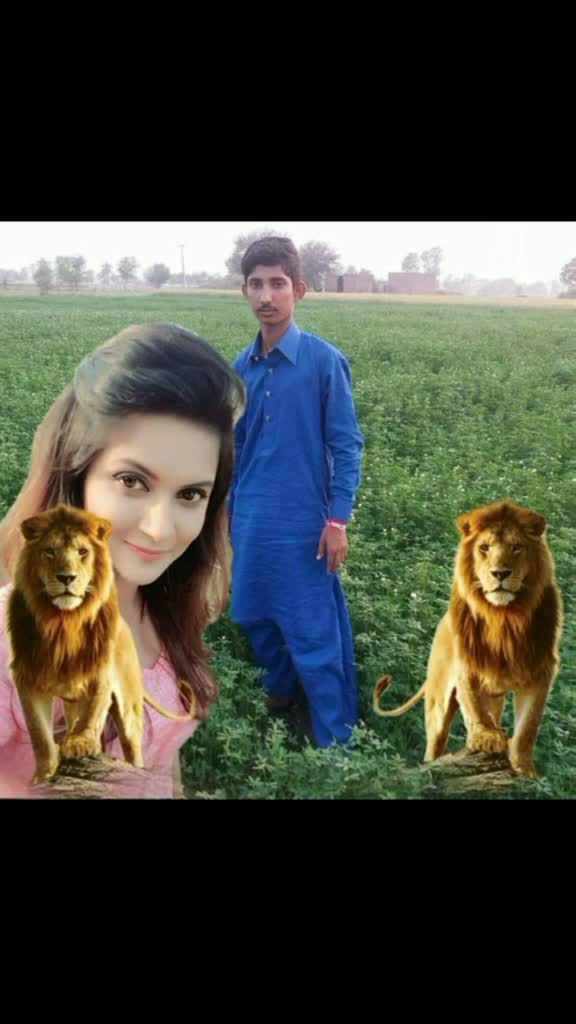 @Kalibutt