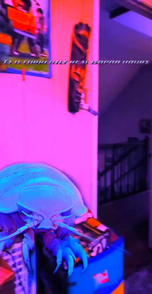 @Partyboyco
