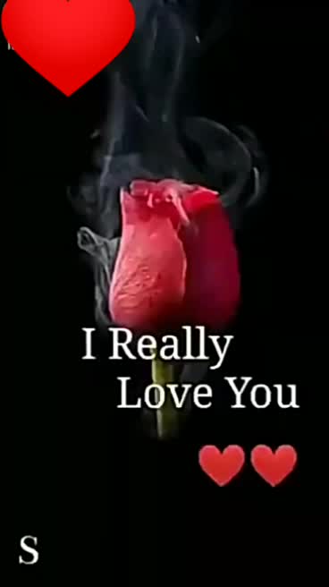 @Riya Dutta