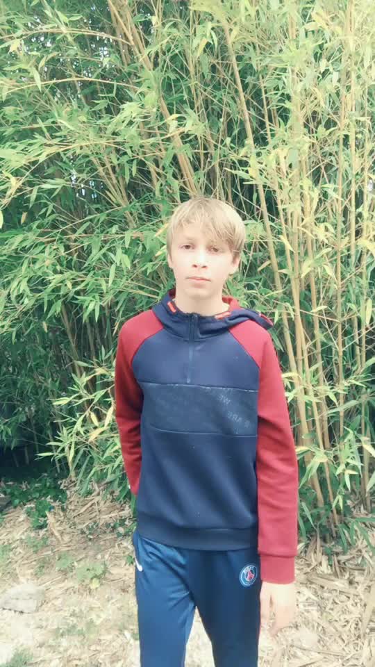 @clemclem3458