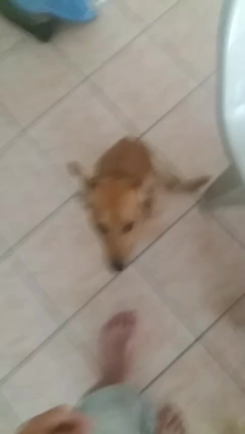 @Oceane naveau