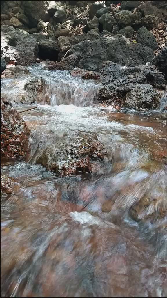 @SalimMalik