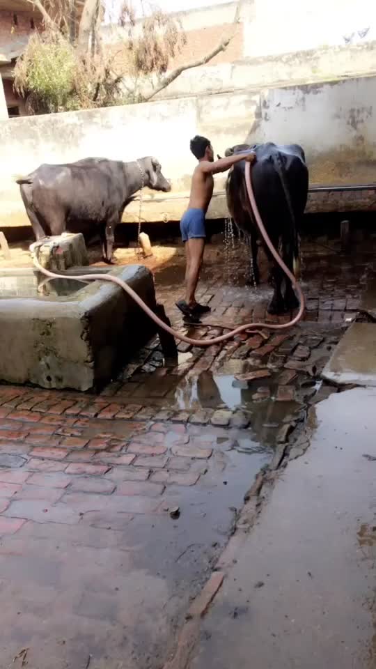 @AniKet चौधरी 🧿