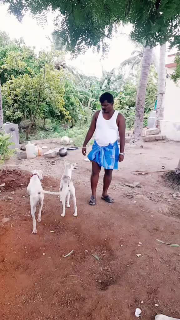 @vetriselvam