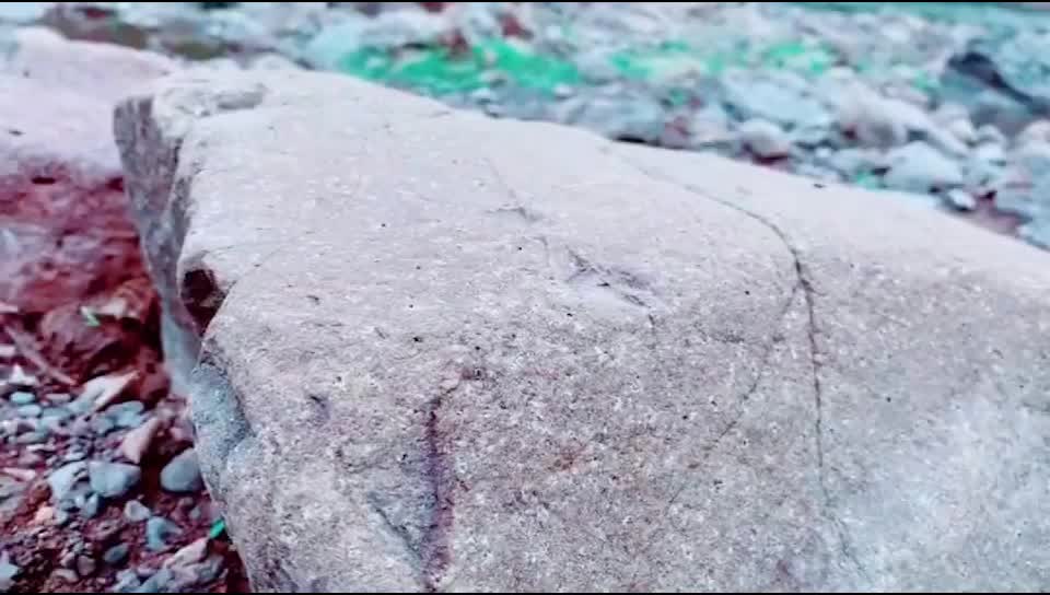 @abhishek_chouhaan