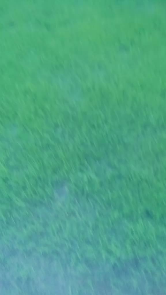 @user792417