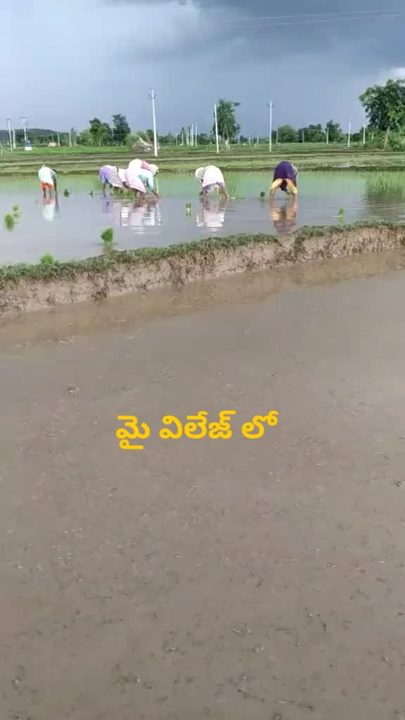 @Chakali srinivas Cha