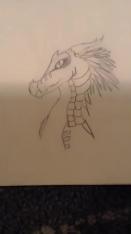 @DarkDragon01