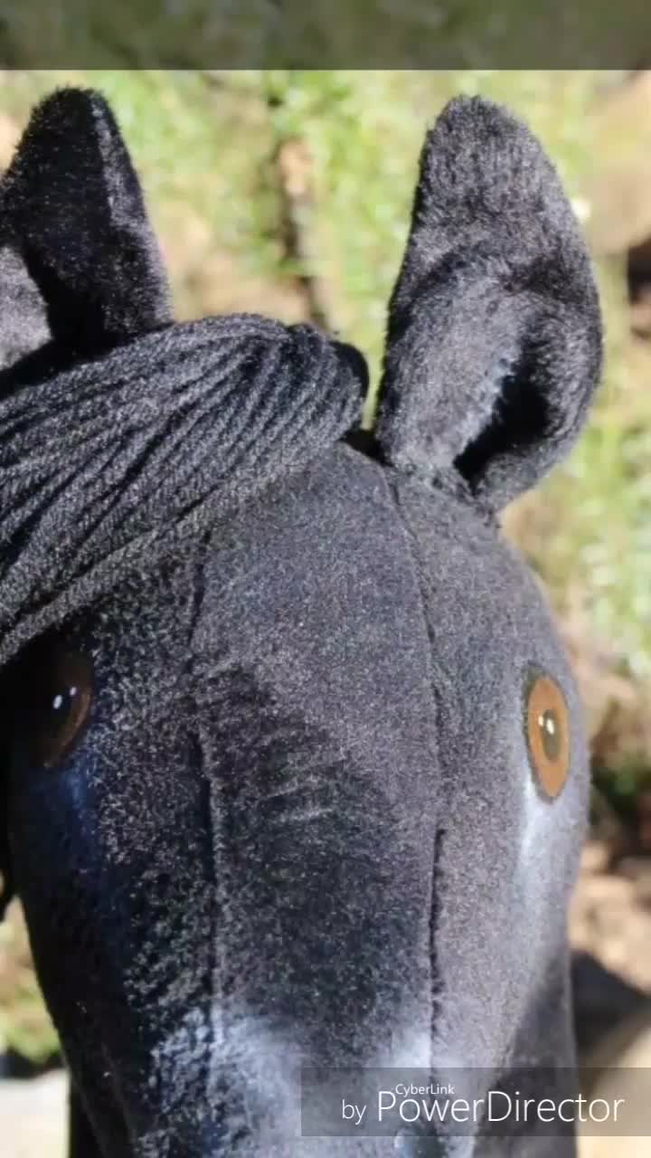 @Hobby horsing🤗🙂