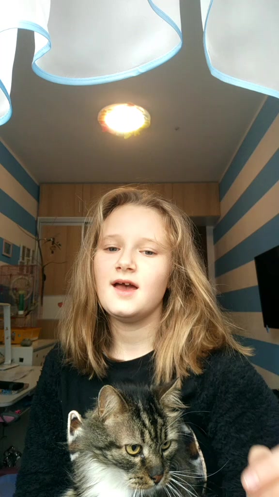 @Kornel_korona