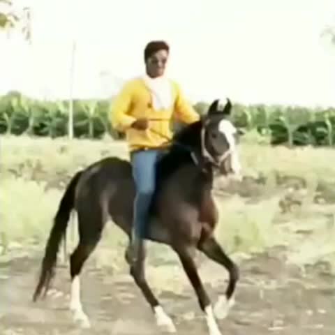 @Krishna 67