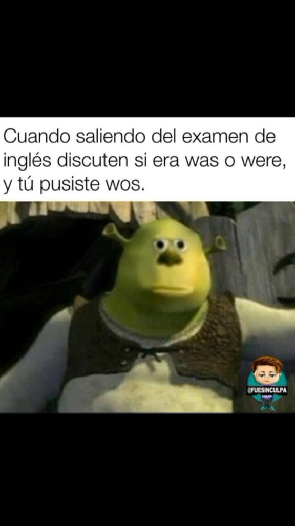 @Momazos diarios